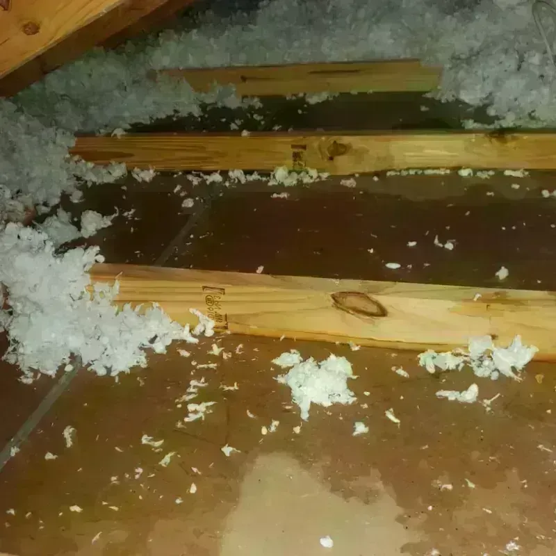 Attic Water Damage in Jefferson County, PA