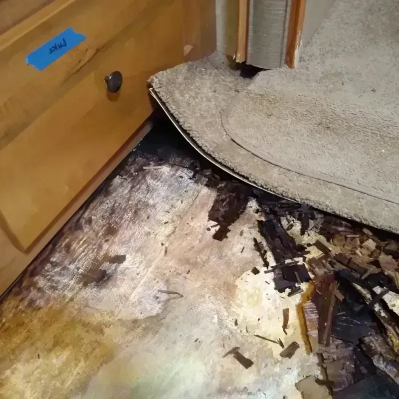 Wood Floor Water Damage in Jefferson County, PA